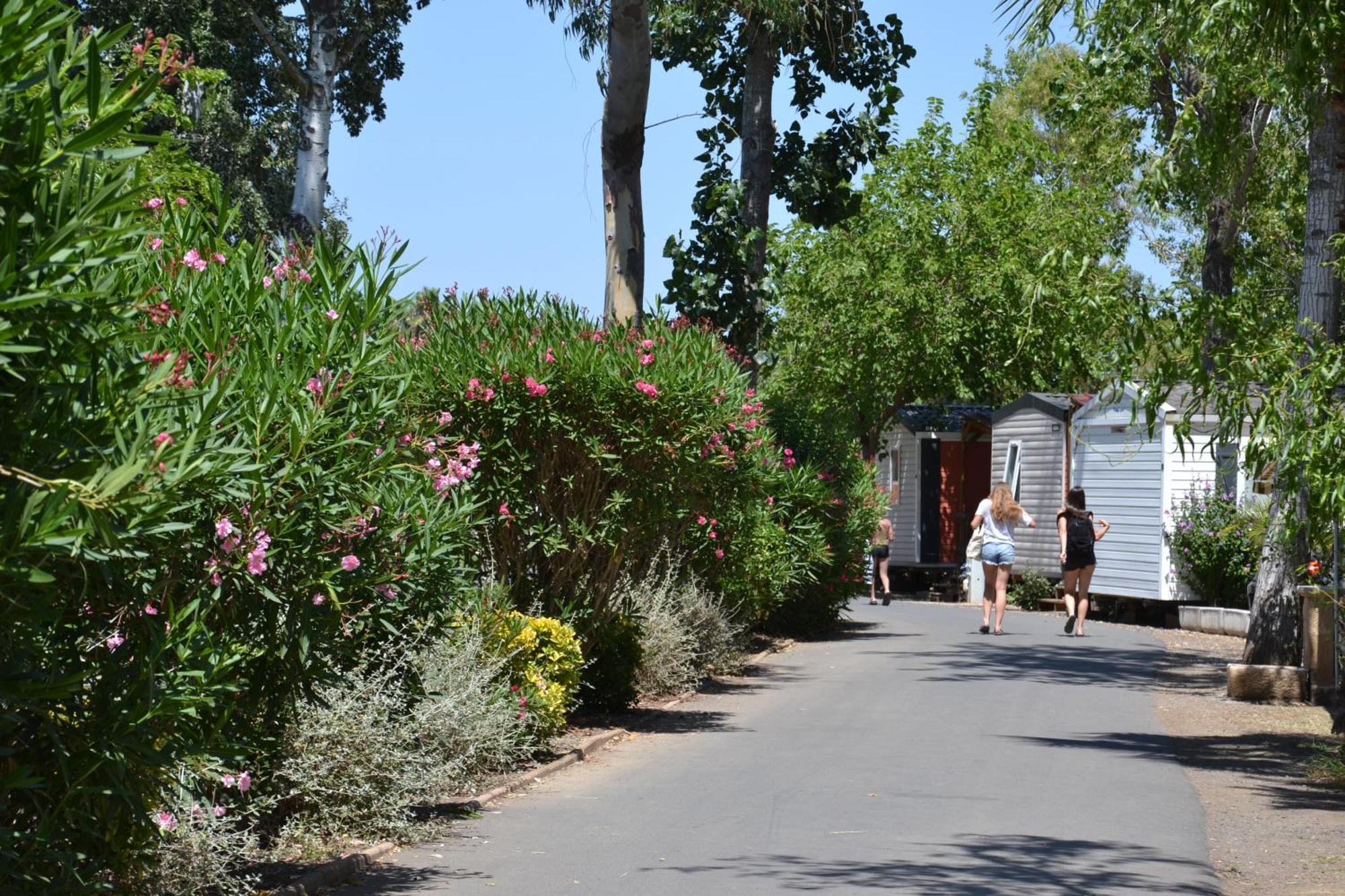 Holiday home Camping Vias Plage *